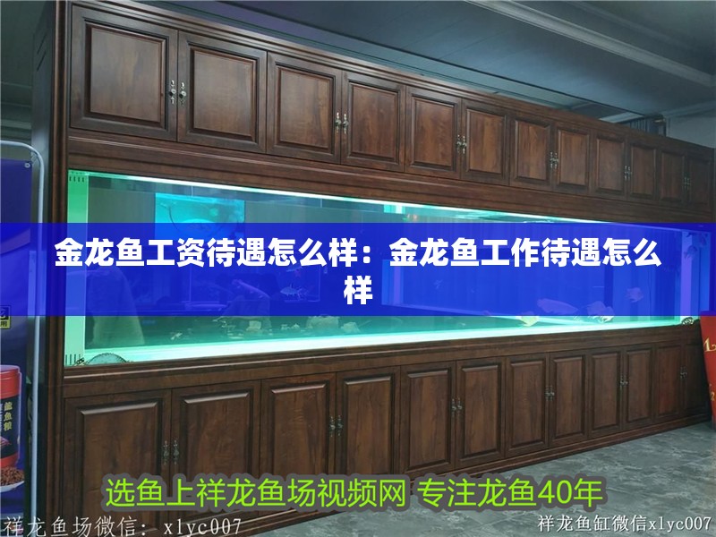 金龍魚工資待遇怎么樣：金龍魚工作待遇怎么樣