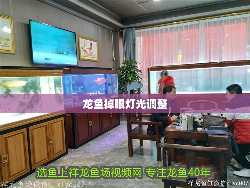龍魚掉眼燈光調整