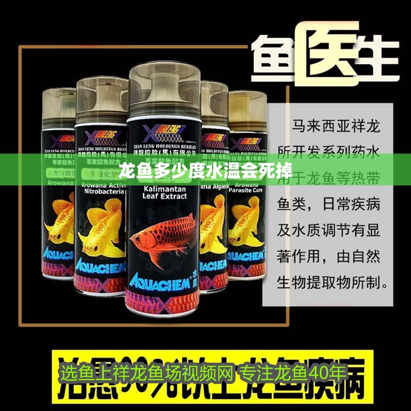 龍魚多少度水溫會死掉