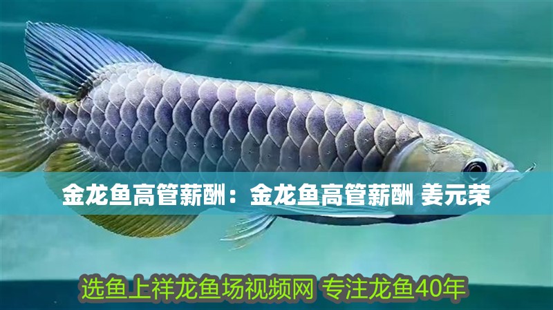 金龍魚(yú)高管薪酬：金龍魚(yú)高管薪酬 姜元榮
