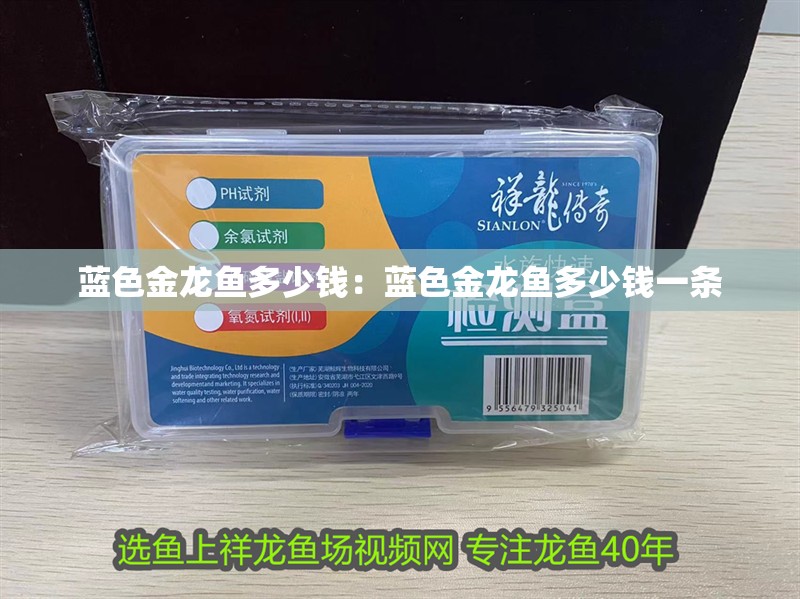 藍色金龍魚多少錢：藍色金龍魚多少錢一條