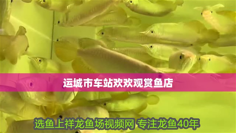 運城市車站歡歡觀賞魚店