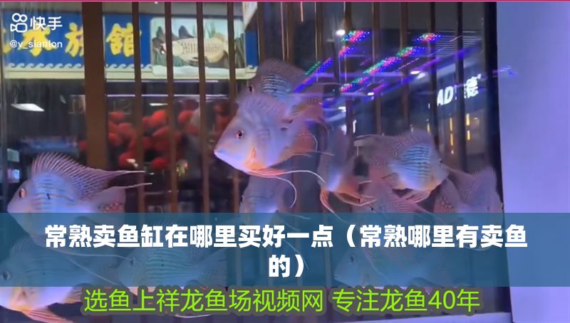 常熟賣(mài)魚(yú)缸在哪里買(mǎi)好一點(diǎn)（常熟哪里有賣(mài)魚(yú)的）
