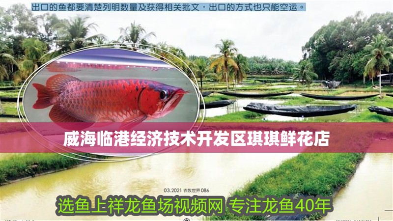 威海臨港經(jīng)濟(jì)技術(shù)開發(fā)區(qū)琪琪鮮花店