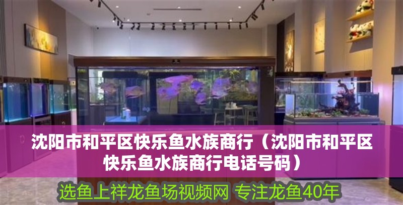 沈陽市和平區快樂魚水族商行(沈陽市和平區快樂魚水族商行電話號碼) 全國水族館企業名錄 第1張 沈陽市和平區快樂魚水族商行(沈陽市和平區快樂魚水族商行電話號碼) 沈陽市和平區快樂魚水族商行(沈陽市和平區快樂魚水族商行電話號碼) 全國水族館企業名錄 第1張
