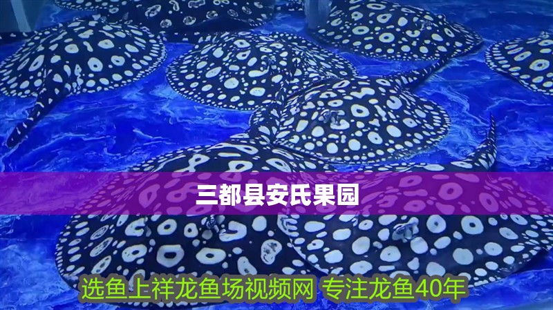 三都縣安氏果園