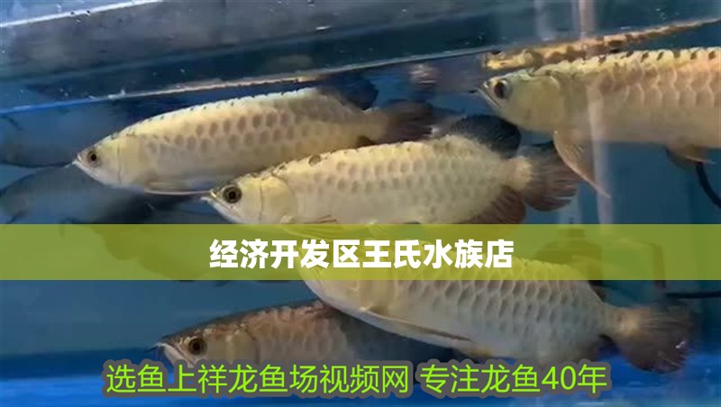 經(jīng)濟開發(fā)區(qū)王氏水族店