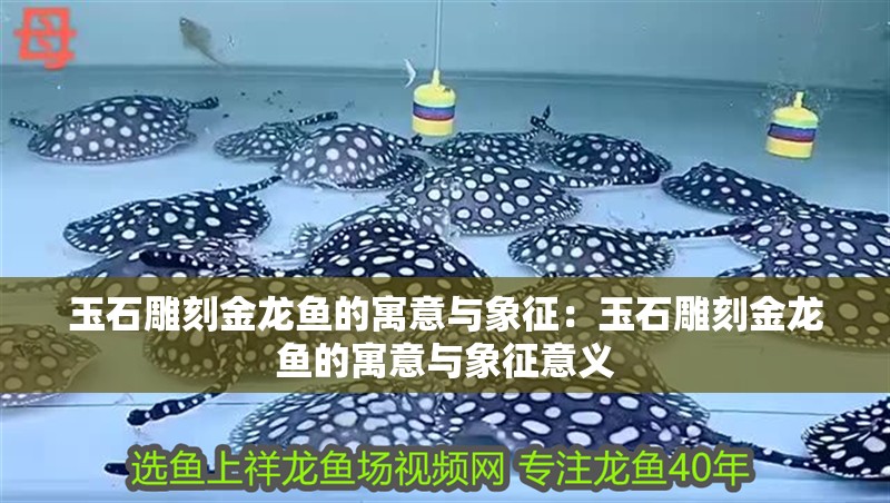 魚缸清缸換水的正確方法圖解視頻 魚缸水清用換水嗎
