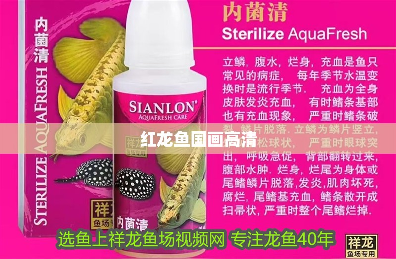 紅龍魚國畫高清