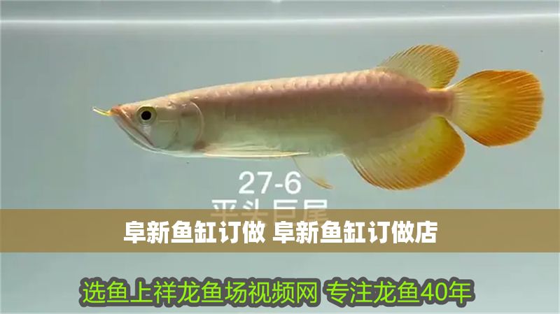 阜新魚缸訂做 阜新魚缸訂做店