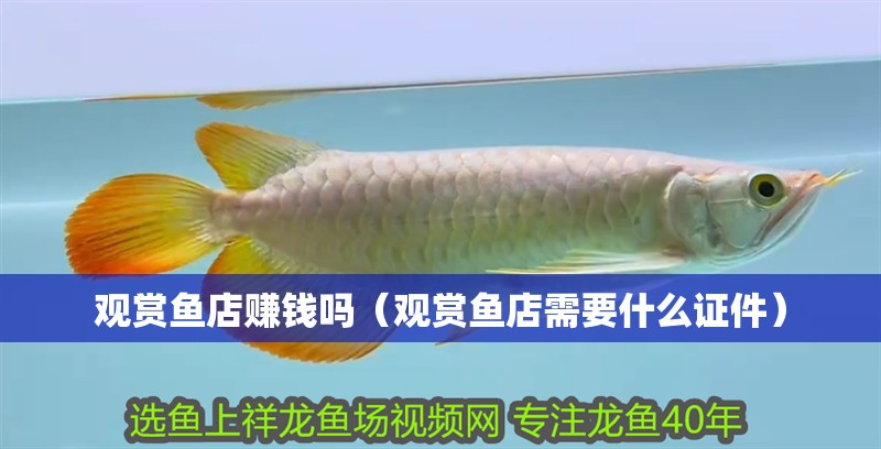觀賞魚店賺錢嗎（觀賞魚店需要什么證件）