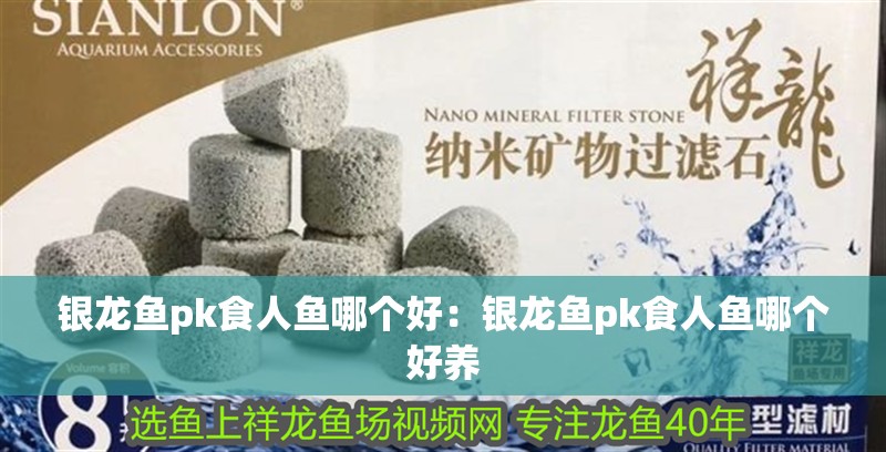銀龍魚(yú)pk食人魚(yú)哪個(gè)好：銀龍魚(yú)pk食人魚(yú)哪個(gè)好養(yǎng)