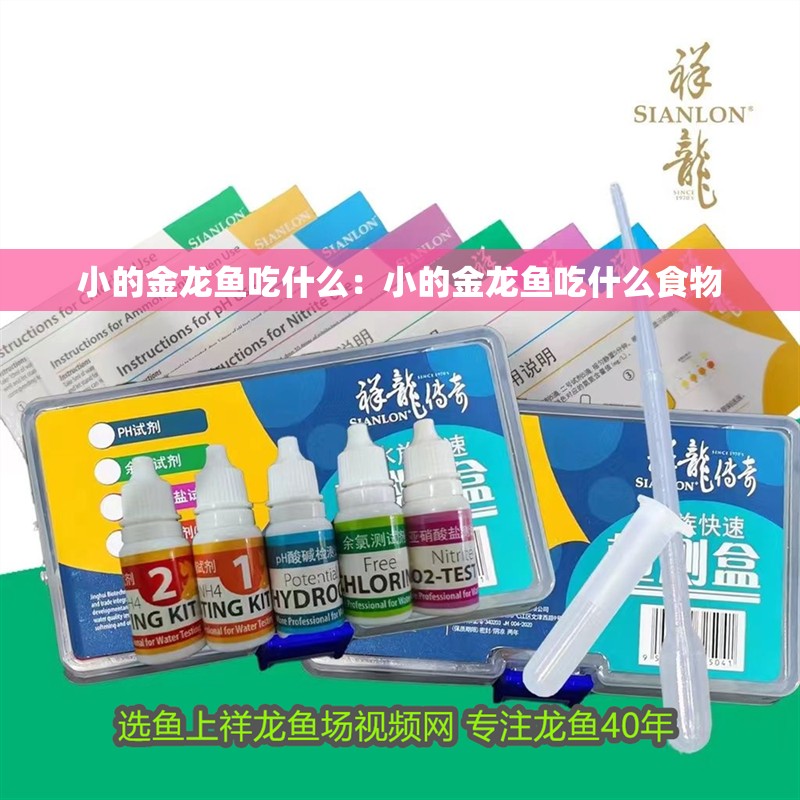 小的金龍魚吃什么：小的金龍魚吃什么食物