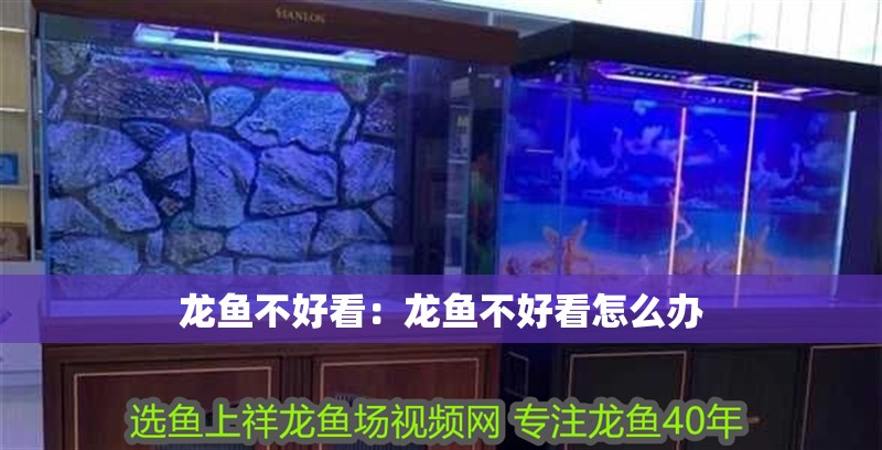 龍魚不好看：龍魚不好看怎么辦