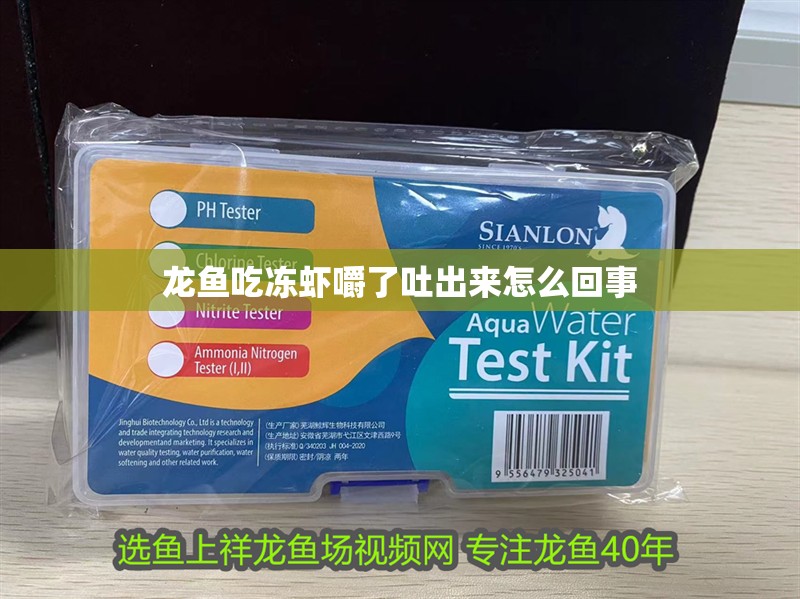 龍魚吃凍蝦嚼了吐出來怎么回事