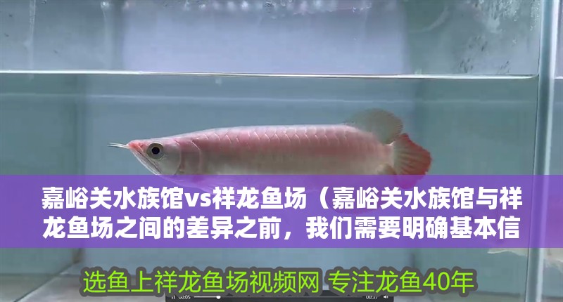 嘉峪關水族館vs祥龍魚場（嘉峪關水族館與祥龍魚場之間的差異之前，我們需要明確基本信息和特點）