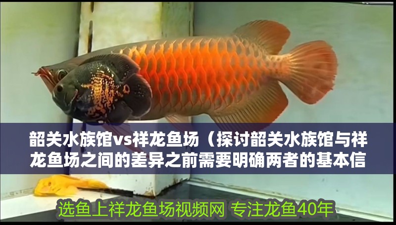 韶關水族館vs祥龍魚場（探討韶關水族館與祥龍魚場之間的差異之前需要明確兩者的基本信息）