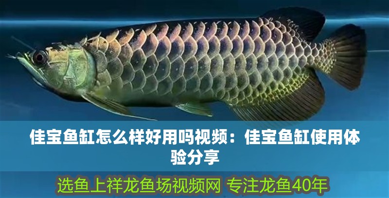 佳寶魚缸怎么樣好用嗎視頻：佳寶魚缸使用體驗分享