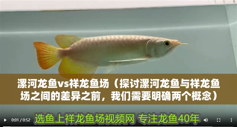 漯河龍魚vs祥龍魚場（探討漯河龍魚與祥龍魚場之間的差異之前，我們需要明確兩個概念） 漯河龍魚vs祥龍魚場（探討漯河龍魚與祥龍魚場之間的差異之前，我們需要明確兩個概念） 全國水族館企業(yè)名錄 第1張