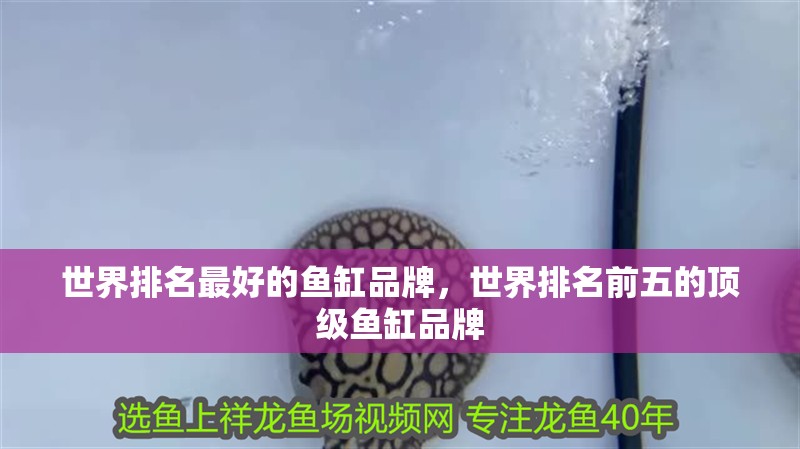 世界排名最好的魚缸品牌，世界排名前五的頂級(jí)魚缸品牌