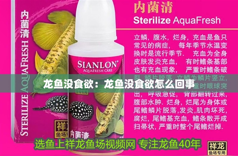 龍魚沒食欲：龍魚沒食欲怎么回事