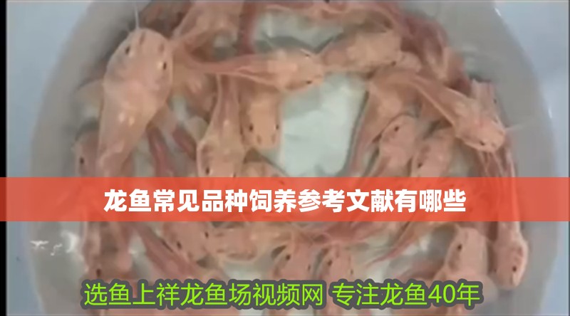 龍魚常見品種飼養參考文獻有哪些