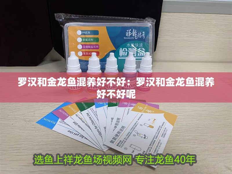 羅漢和金龍魚(yú)混養(yǎng)好不好：羅漢和金龍魚(yú)混養(yǎng)好不好呢