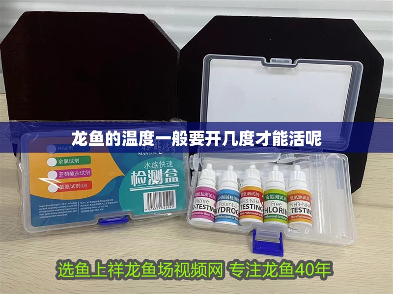 龍魚的溫度一般要開幾度才能活呢 龍魚百科 第2張 龍魚的溫度一般要開幾度才能活呢 龍魚的溫度一般要開幾度才能活呢 龍魚百科 第2張
