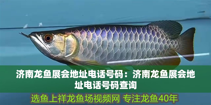 濟(jì)南龍魚(yú)展會(huì)地址電話(huà)號(hào)碼：濟(jì)南龍魚(yú)展會(huì)地址電話(huà)號(hào)碼查詢(xún)