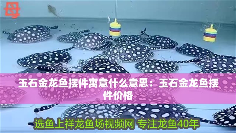 玉石金龍魚擺件寓意什么意思：玉石金龍魚擺件價格