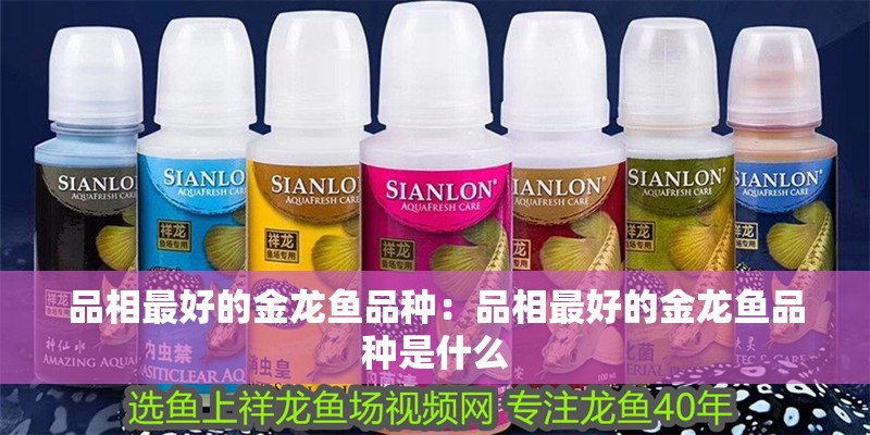 品相最好的金龍魚品種：品相最好的金龍魚品種是什么