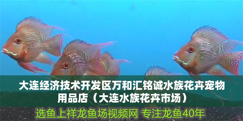 大連經濟技術開發區萬和匯銘誠水族花卉寵物用品店（大連水族花卉市場）
