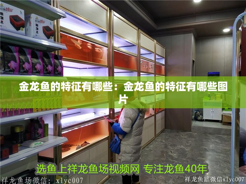 金龍魚(yú)的特征有哪些：金龍魚(yú)的特征有哪些圖片