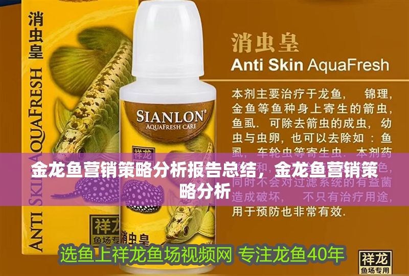 金龍魚營銷策略分析報告總結(jié)，金龍魚營銷策略分析