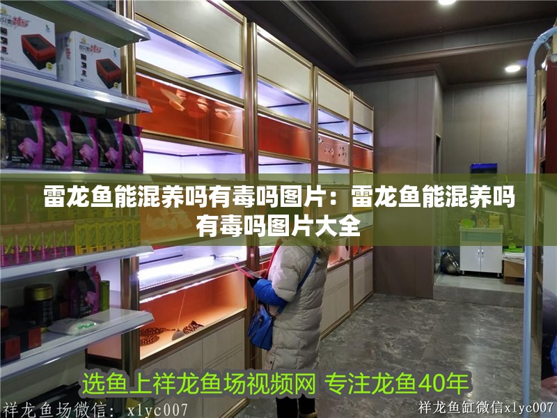 雷龍魚能混養嗎有毒嗎圖片：雷龍魚能混養嗎有毒嗎圖片大全