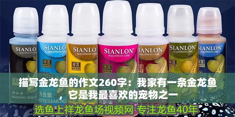 描寫金龍魚的作文260字：我家有一條金龍魚，它是我最喜歡的寵物之一