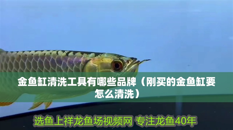 金魚(yú)缸清洗工具有哪些品牌（剛買(mǎi)的金魚(yú)缸要怎么清洗）