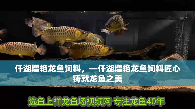 仟湖增艷龍魚飼料，—仟湖增艷龍魚飼料匠心鑄就龍魚之美
