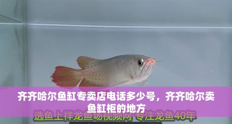 齊齊哈爾魚缸專賣店電話多少號，齊齊哈爾賣魚缸柜的地方