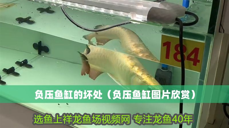負壓魚缸的壞處（負壓魚缸圖片欣賞）