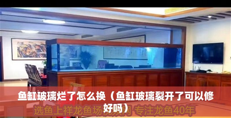 魚缸玻璃爛了怎么換（魚缸玻璃裂開了可以修好嗎）