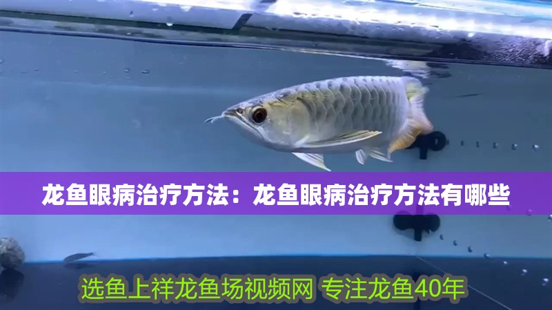 龍魚(yú)眼病治療方法：龍魚(yú)眼病治療方法有哪些