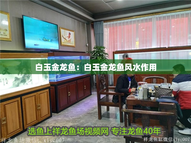 白玉金龍魚：白玉金龍魚風水作用