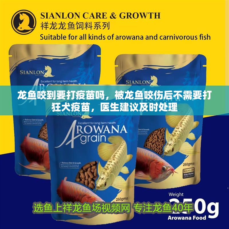 龍魚(yú)咬到要打疫苗嗎，被龍魚(yú)咬傷后不需要打狂犬疫苗，醫(yī)生建議及時(shí)處理