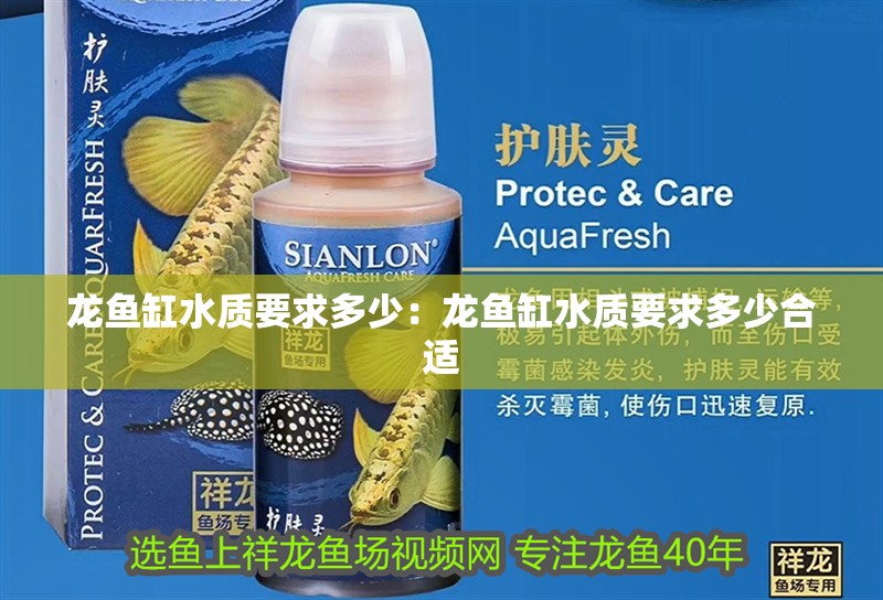 龍魚缸水質(zhì)要求多少：龍魚缸水質(zhì)要求多少合適