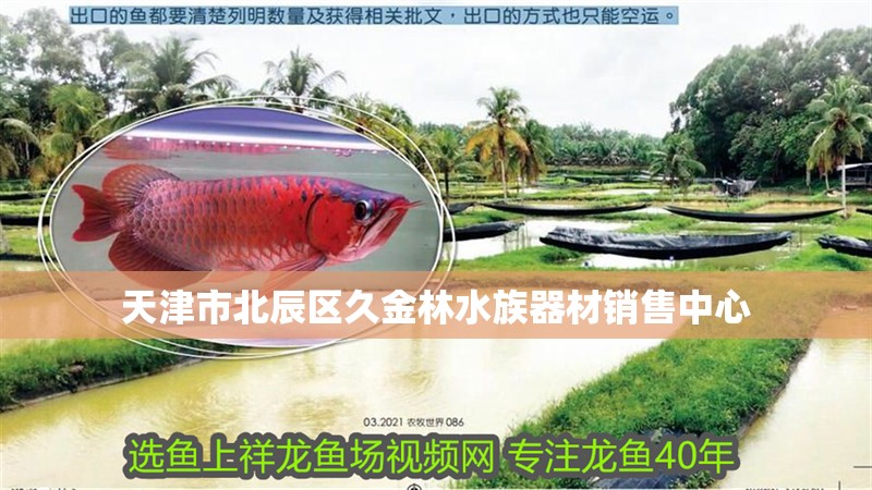 天津市北辰區久金林水族器材銷售中心