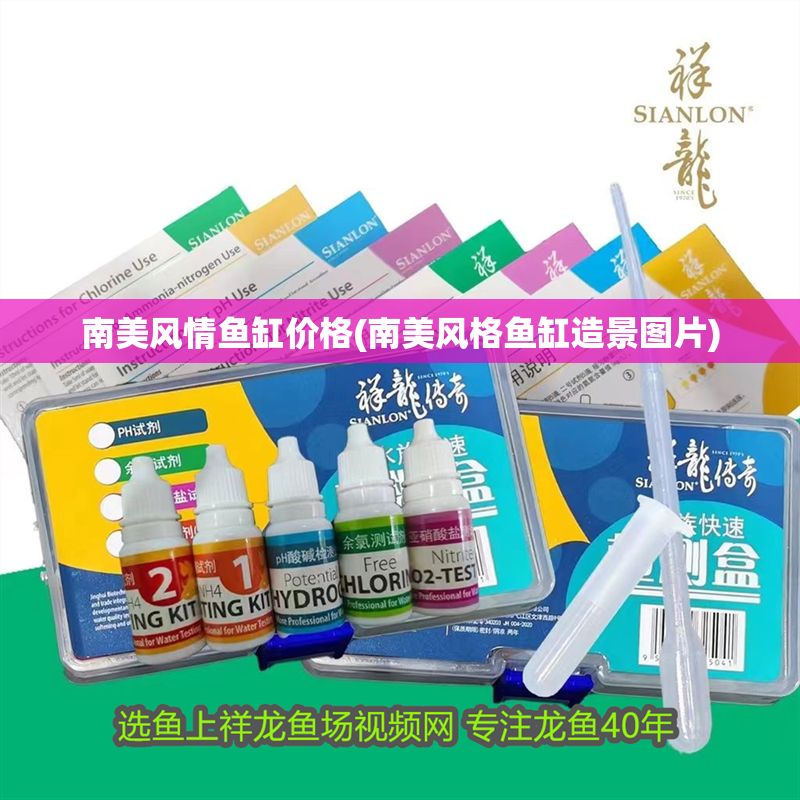 南美風情魚缸價格(南美風格魚缸造景圖片)