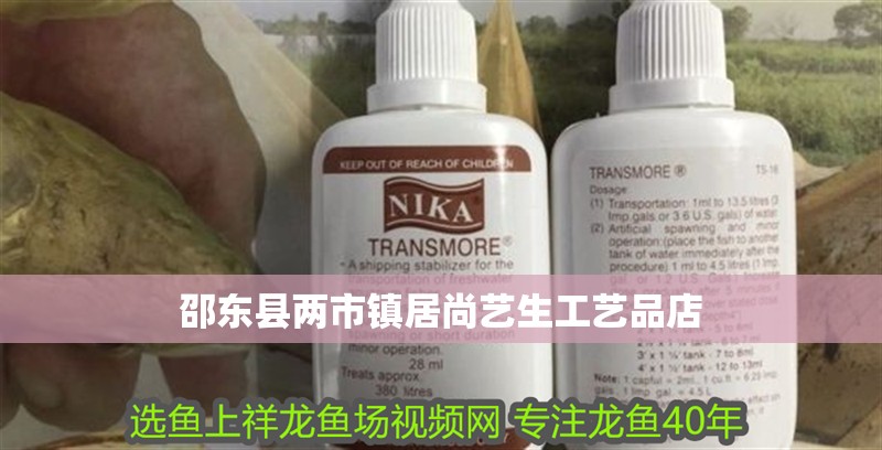 邵東縣兩市鎮居尚藝生工藝品店