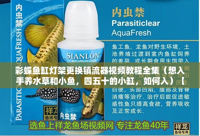 彩蝶魚缸燈架更換鎮流器視頻教程全集（想入手養水草和小魚，四五十的小缸，如何入）【彩蝶魚缸更換燈架】