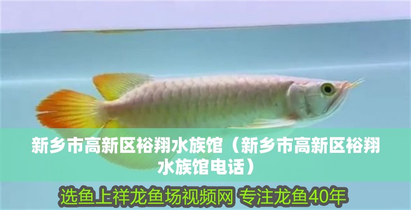 新鄉(xiāng)市高新區(qū)裕翔水族館（新鄉(xiāng)市高新區(qū)裕翔水族館電話）